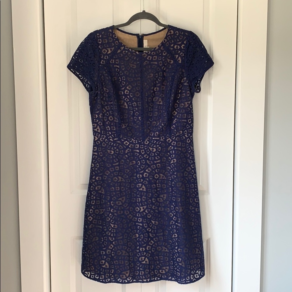 LOFT lace overlay dress sapphire blue